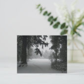 Carte postale Neige Vassar (Debout devant)