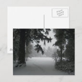 Carte postale Neige Vassar (Devant / Derrière)