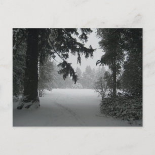 Carte postale Neige Vassar