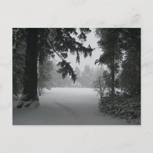 Carte postale Neige Vassar (Devant)