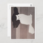 Carte postale : Neko et Falkor (Devant / Derrière)