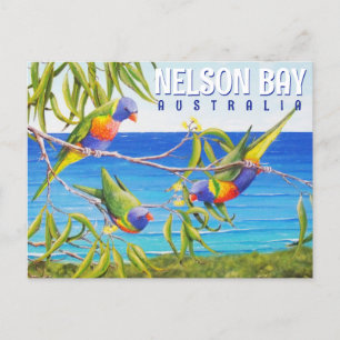 Carte Postale Nelson Bay Australie Birds Lorikeet Beach Peinture