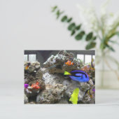 Carte Postale Nemo Avec Son Gang (Debout devant)