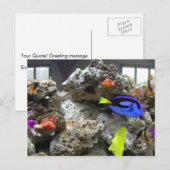 Carte Postale Nemo Avec Son Gang (Devant / Derrière)