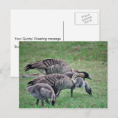 Carte Postale Nene (Devant / Derrière)