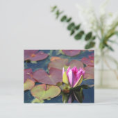 Carte postale nénuphar (Debout devant)