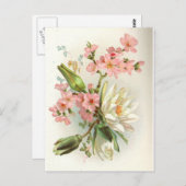 Carte Postale nénuphar (Devant / Derrière)