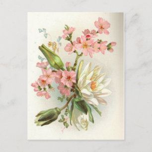 Carte Postale nénuphar