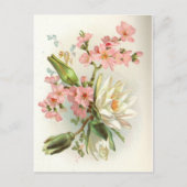 Carte Postale nénuphar (Devant)