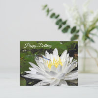 Nénuphar Blanc, Anniversaire de la Libellule Bleue