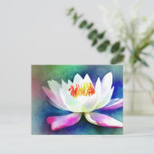 Carte Postale Nénuphar blanc et rose (Debout devant)