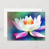 Carte Postale Nénuphar blanc et rose (Devant / Derrière)