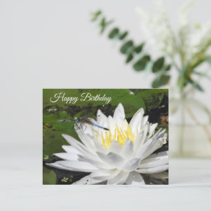 Carte Postale Nénuphar Blanc, Libellule Bleue Anniversaire