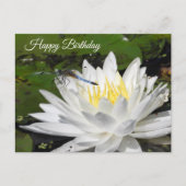 Carte Postale Nénuphar Blanc, Libellule Bleue Anniversaire (Devant)