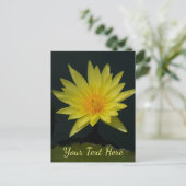 Carte Postale Nénuphar Lotus jaune (Debout devant)
