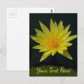 Carte Postale Nénuphar Lotus jaune (Devant / Derrière)