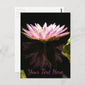 Carte Postale Nénuphar Lotus Rose (Devant / Derrière)