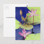 Carte postale Nénuphar Pink Lotus (Devant / Derrière)