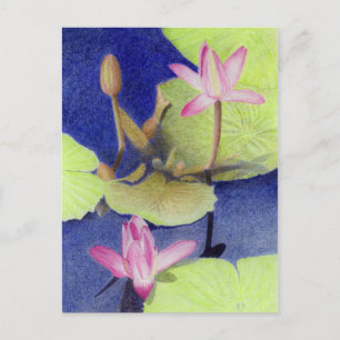 Carte postale Nénuphar Pink Lotus