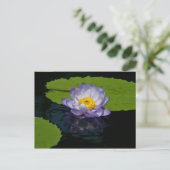 Carte postale Nénuphar Purple Lotus (Debout devant)