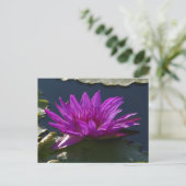 Carte postale Nénuphar Purple Lotus (Debout devant)