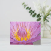 Carte postale Nénuphar rose (Debout devant)