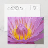 Carte postale Nénuphar rose (Devant / Derrière)