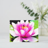 Carte Postale Nénuphar rose (Debout devant)