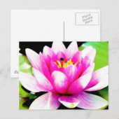 Carte Postale Nénuphar rose (Devant / Derrière)