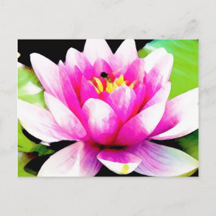 Carte Postale Nénuphar rose