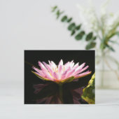 Carte Postale Nénuphar rose Lotus (Debout devant)