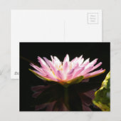 Carte Postale Nénuphar rose Lotus (Devant / Derrière)
