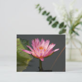 Carte Postale Nénuphar rose Lotus (Debout devant)