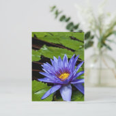 Carte postale Nénuphar tropical (Debout devant)