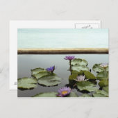 Carte Postale Nénuphars dans l'étang par l'océan (Devant / Derrière)