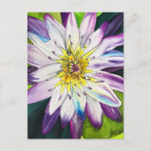 Carte Postale Nénuphars d'eau fine art (Devant)