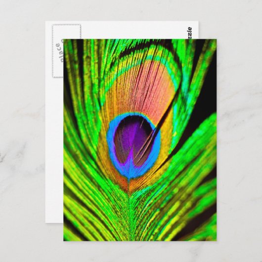 Carte Postale Neon Colors Peacock Feather (Devant / Derrière)