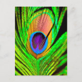 Carte Postale Neon Colors Peacock Feather (Devant)