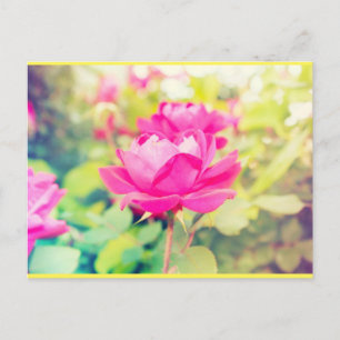 Carte Postale Neon Garden Dreams