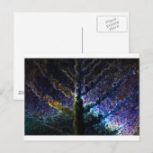 Carte Postale Neon Leaf (Devant / Derrière)