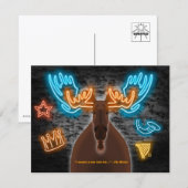 Carte postale Neon Moose 10-Pack (Devant / Derrière)