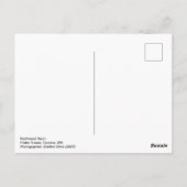 Carte Postale Neon Nord-Ouest : Frisko Freeze (Dos)