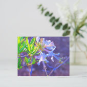 Carte Postale Néon pourpre (Debout devant)
