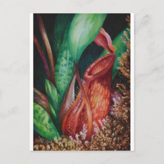 Carte Postale Nepènes De Bornéo Aquarelle Art