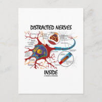 Nerfs distraits à l'intérieur (Synapse)