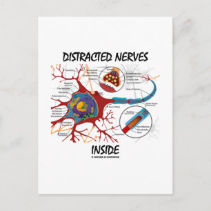 Carte Postale Nerfs distraits à l'intérieur (Synapse)