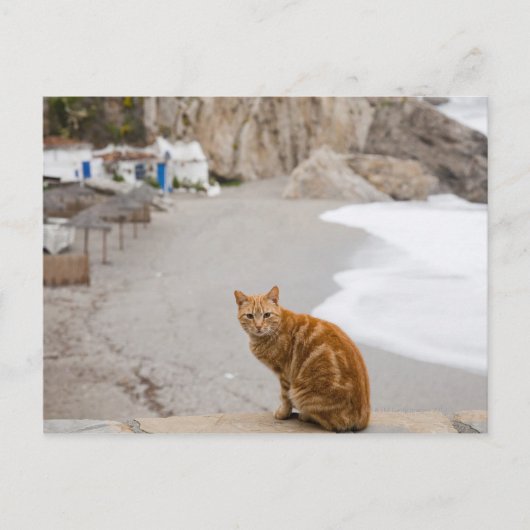 Carte Postale Nerja Malaga Andalousie Espagne (Devant)