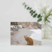 Carte Postale Nerja Malaga Andalousie Espagne (Debout devant)