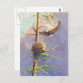 Carte Postale NEST D'EAGLE par SHARON SHARPE (Devant / Derrière)