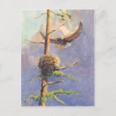 Carte Postale NEST D'EAGLE par SHARON SHARPE (Devant)